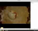 Screenshot from 2021-02-16 23-04-20.png