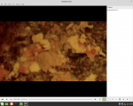 Screenshot from 2021-02-16 23-04-03.png